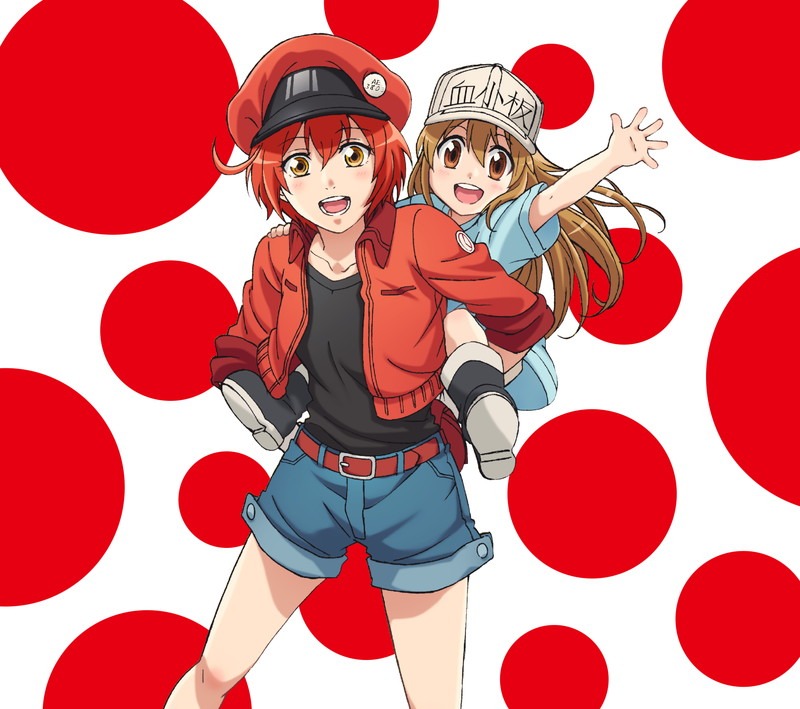 ClariS「CheerS」期間限定盤ジャケット