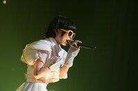 小犬丸ぽち（撮影：ハライタチ）