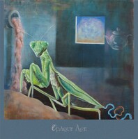 the hatch「OpaqueAge」ジャケット