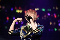 うらたぬき（撮影：小松陽祐［ODD JOB］、加藤千絵［CAPS］）