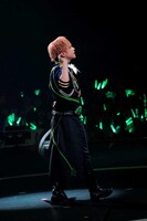 うらたぬき（撮影：小松陽祐［ODD JOB］、加藤千絵［CAPS］）