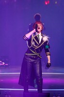 うらたぬき（撮影：小松陽祐［ODD JOB］、加藤千絵［CAPS］）