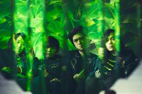 Bird Bear Hare and Fish