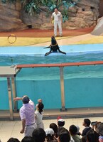 アシカに向かって輪を投げるRG。