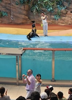 輪投げが成功し、喜びのファイティングポーズをとるRG。