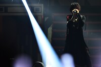 人気画像8位は「After the Rain、台風の日に晴乞いの宴で“満開の桜”咲かす」より、まふまふ。