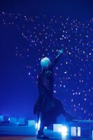 人気画像4位は「After the Rain、台風の日に晴乞いの宴で“満開の桜”咲かす」より、まふまふ。