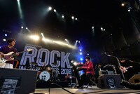 ストレイテナー