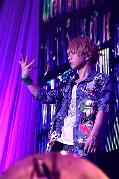 うらたぬき（撮影：小松陽祐［ODD JOB］）