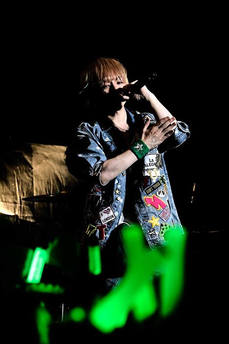 うらたぬき（撮影：小松陽祐［ODD JOB］）