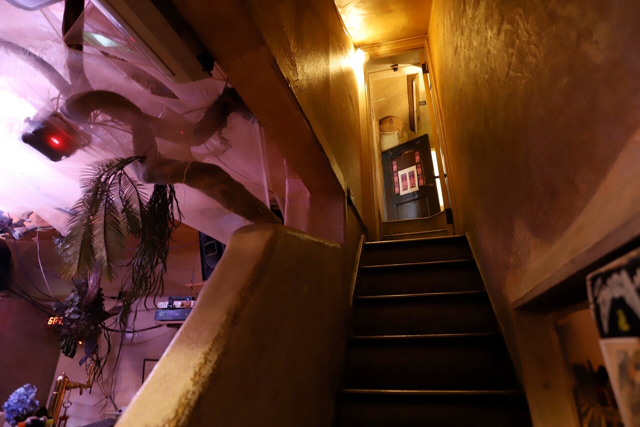 bar bonoboの店内。