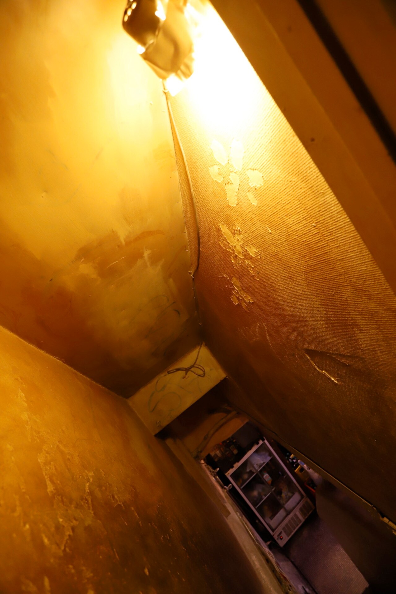 bar bonoboの店内。