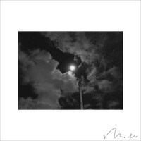 mol-74「Moonlight」ジャケット