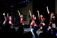 桜エビ～ず（撮影：笹森健一）