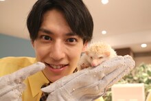 ユースケ（左）と眠るハリネズミ。