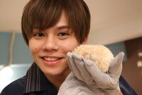 カイ（左）と眠るハリネズミ。