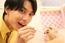 ハリネズミに餌をあげるユースケ。