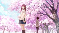 劇場アニメ「君の膵臓をたべたい」メインビジュアル (c)住野よる／双葉社 (c)君の膵臓をたべたい アニメフィルムパートナーズ