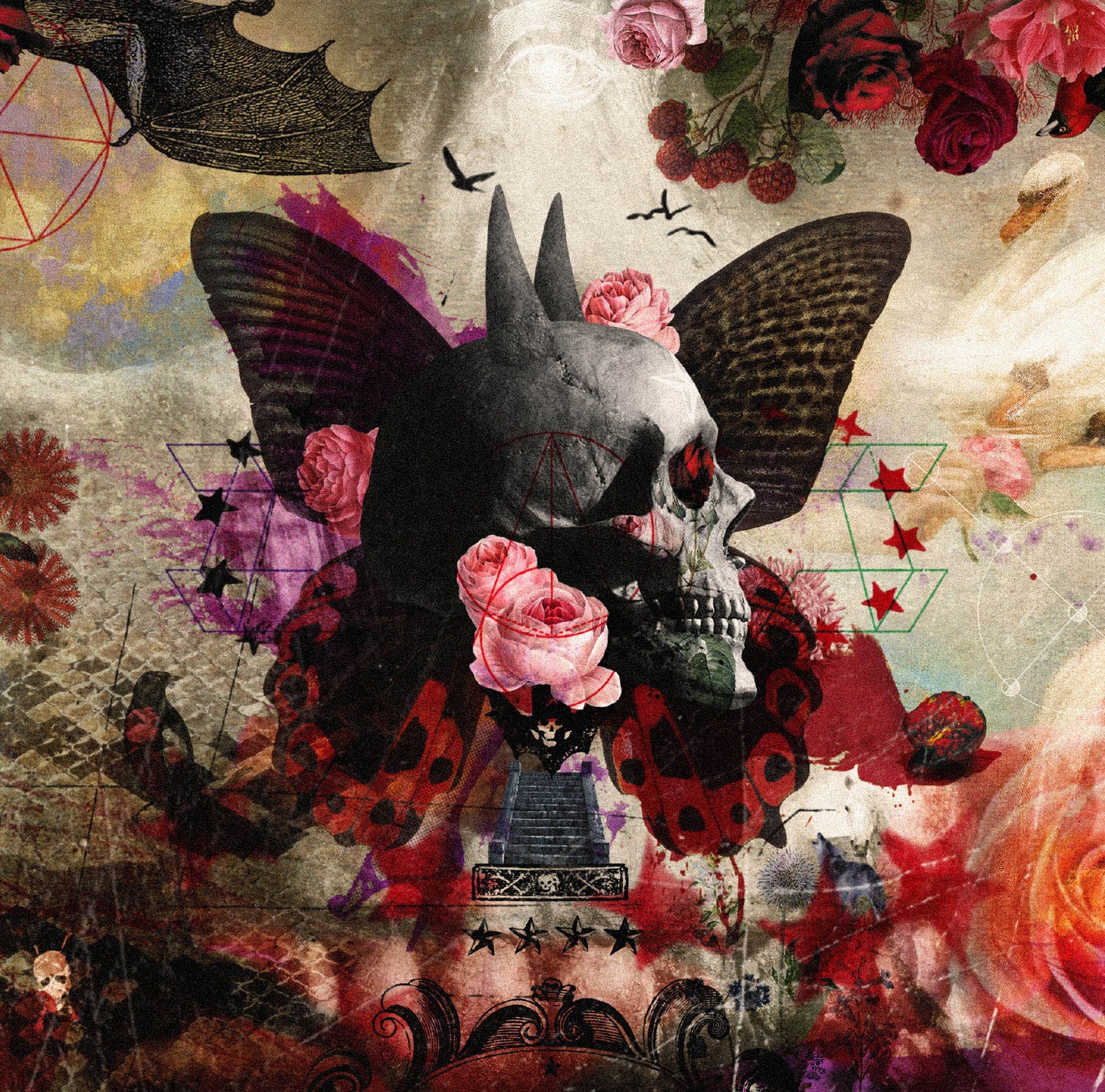 sads「FALLING Ultimate Edition」通常盤ジャケット