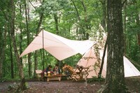 手作り料理で夏を満喫する乃木坂46 3期生。