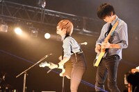 ポルカドットスティングレイ