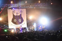 ポルカドットスティングレイ