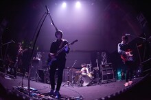 polly（撮影：古溪一道）