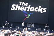 The Sherlocks
