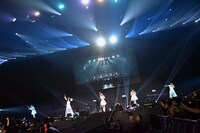 ベイビーレイズJAPAN