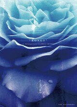 THE NOVEMBERS「ROSES」ジャケット