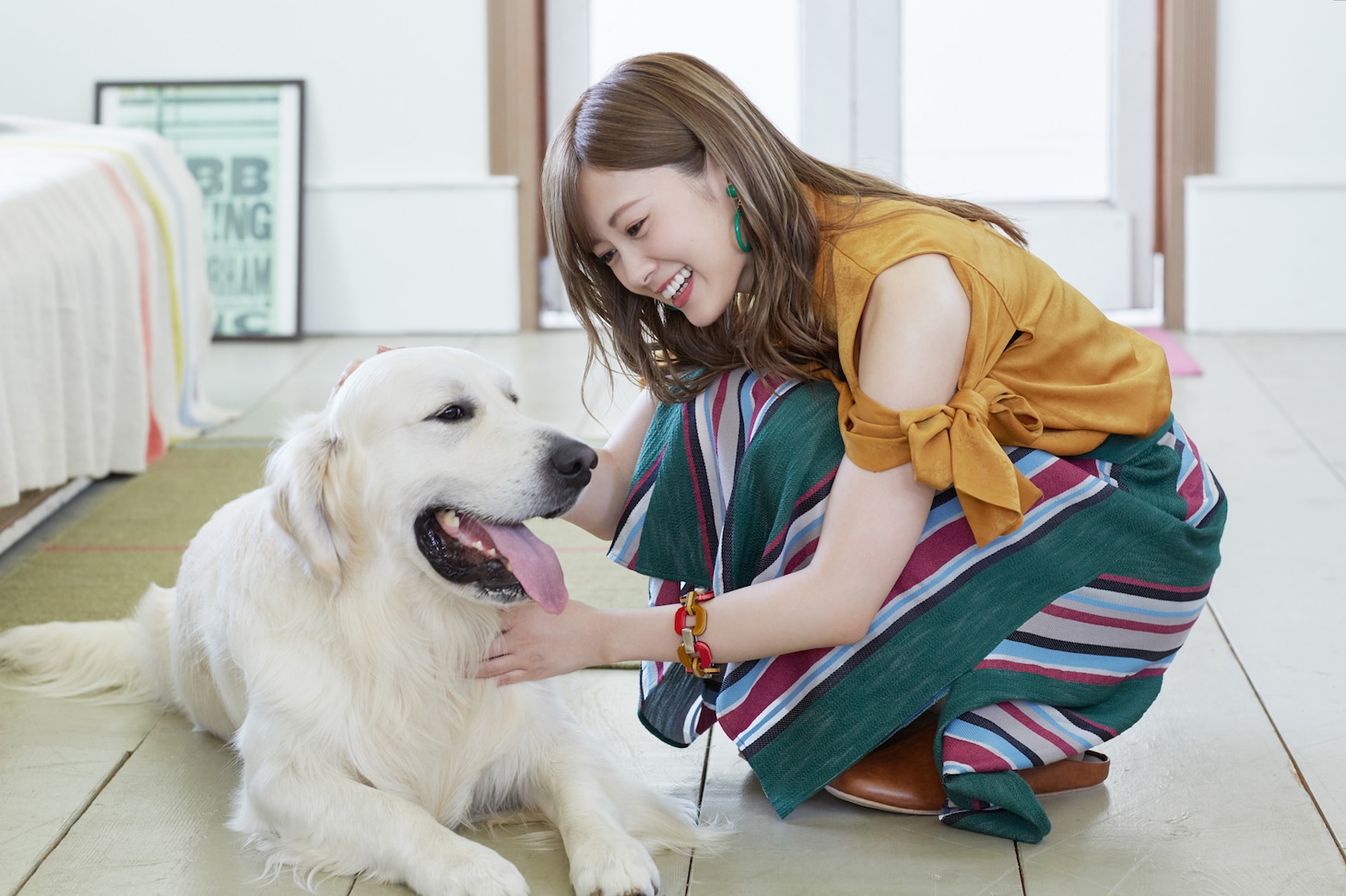 「犬と、猫と、乃木坂と。」より麻衣（白石麻衣）。