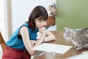 「犬と、猫と、乃木坂と。」より七瀬（西野七瀬）。