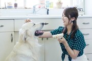 「犬と、猫と、乃木坂と。」より美彩（衛藤美彩）。