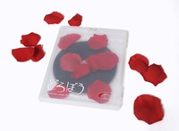 ドレスコーズ「どろぼう ～dresscodes plays the dresscodes～」通常盤Blu-rayパッケージ見本