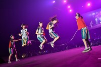 ロッカジャポニカ