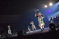 チームしゃちほこ