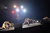 チームしゃちほこ