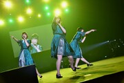 Negicco