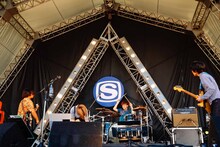 ポルカドットスティングレイ（撮影：上山陽介）