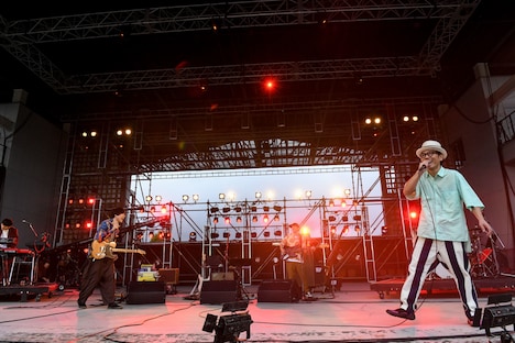 ハナレフジ（撮影：岸田哲平）