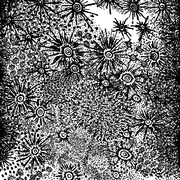 SPIRIT FEST「Anohito」ジャケット