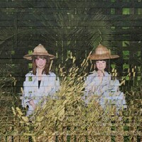 バクバクドキン