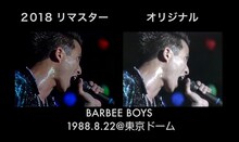 「BARBEE BOYS STARS ON 1988.8.22＠東京ドーム」比較画像