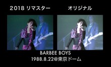 「BARBEE BOYS STARS ON 1988.8.22＠東京ドーム」比較画像
