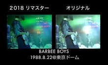 「BARBEE BOYS STARS ON 1988.8.22＠東京ドーム」比較画像