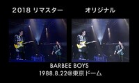 「BARBEE BOYS STARS ON 1988.8.22＠東京ドーム」比較画像