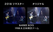 「BARBEE BOYS STARS ON 1988.8.22＠東京ドーム」比較画像