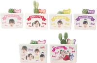 ももいろクローバーZサボテン