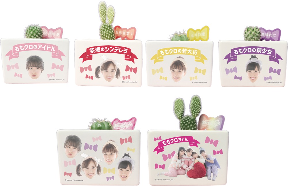 ももいろクローバーZサボテン