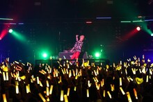 kradness（Photo by Takuro Hori［ELENORE］、Kazuya Imada［ELENORE］）